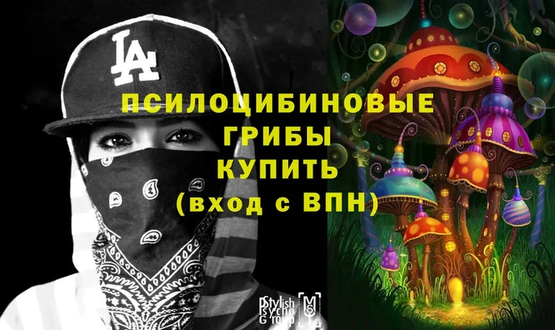 Псилоцибиновые грибы Cubensis Кириллов