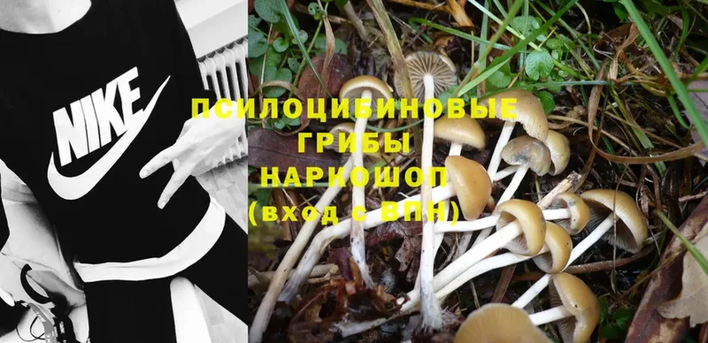 ОМГ ОМГ ONION  Кириллов  Псилоцибиновые грибы MAGIC MUSHROOMS 